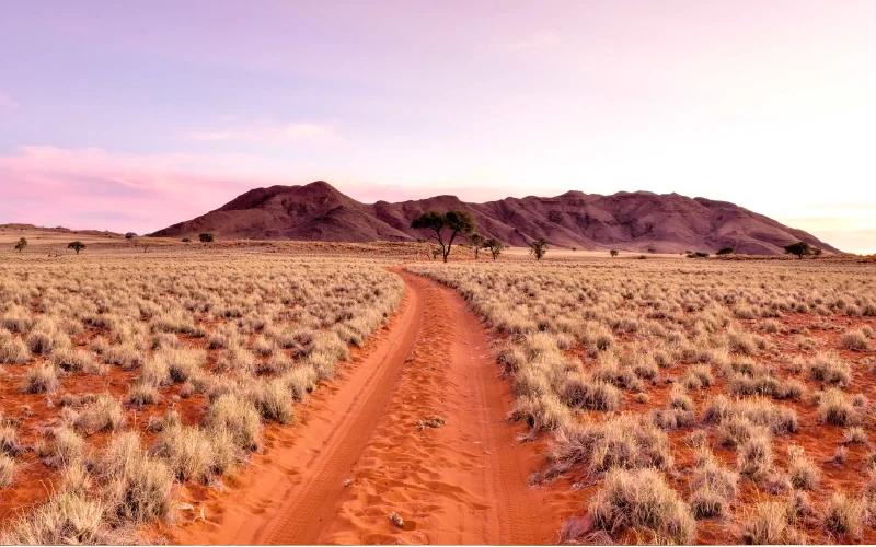 A gravel road running through grasslands towards distant mountains