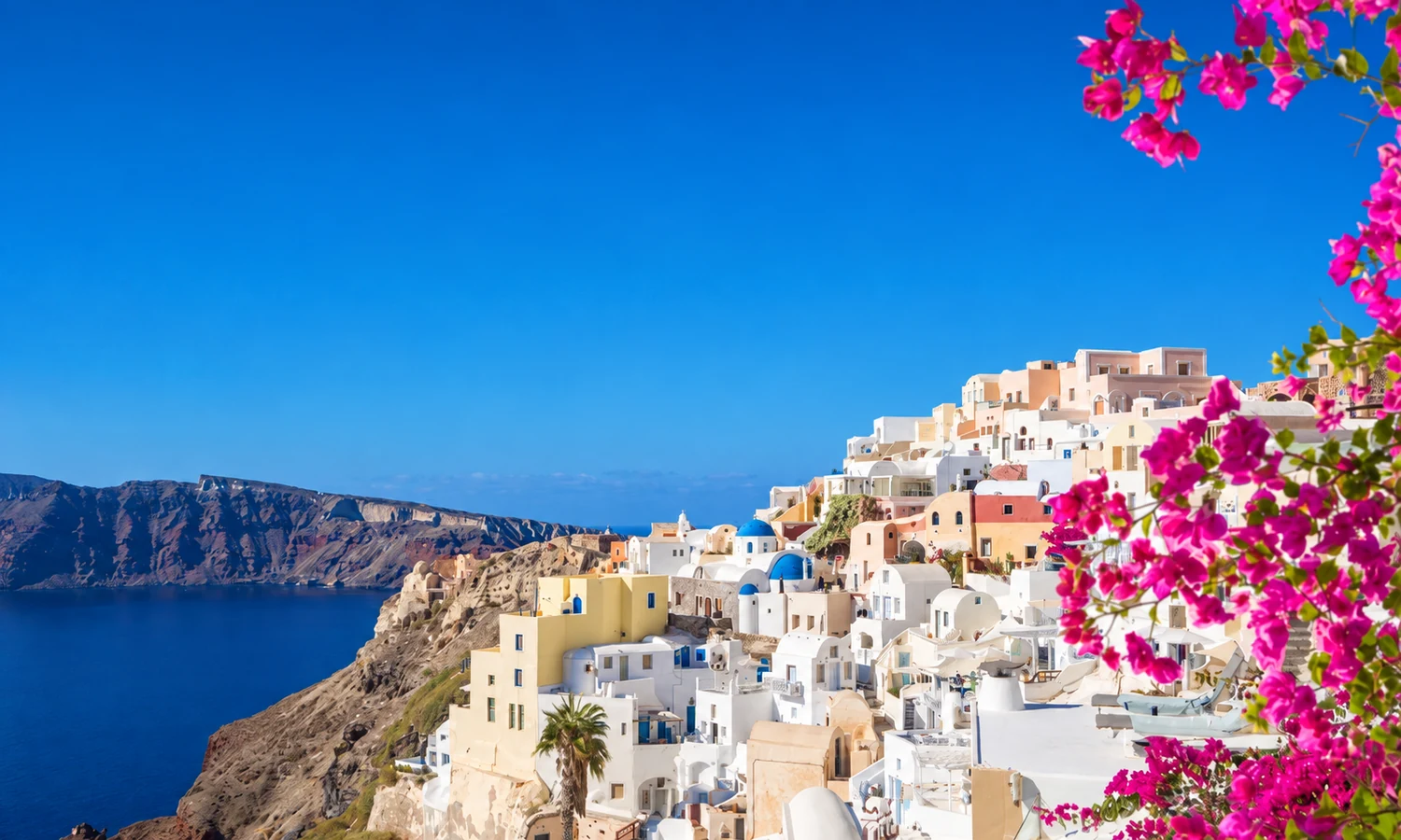 Whitewashed Santorini hillside buildings above the Aegean Sea, framed by pink flowers