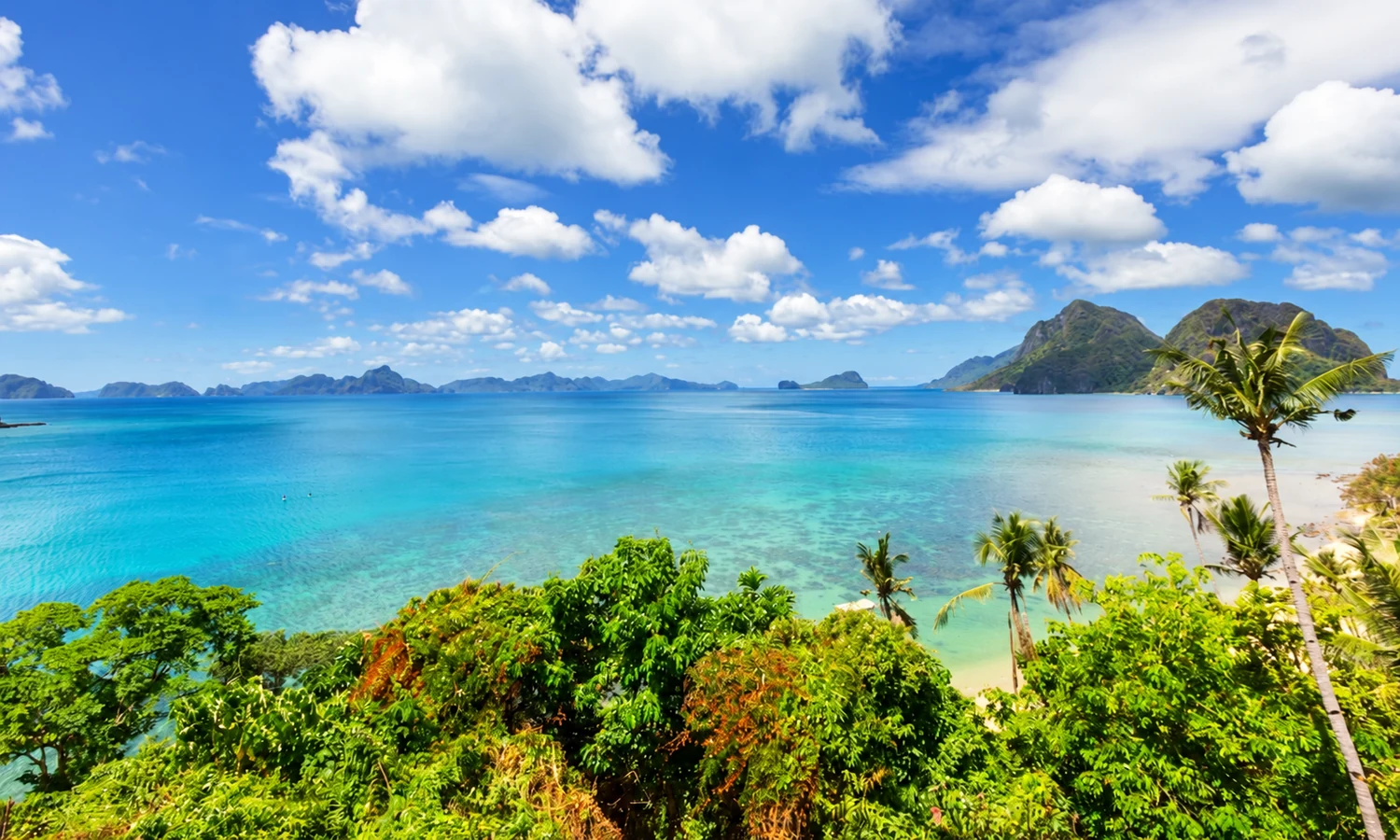 A turquoise tropical bay with green island hills and palm trees along the shore
