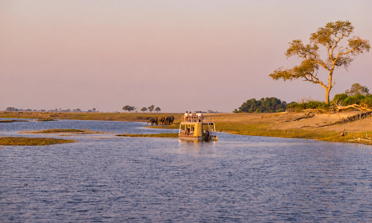 A boat on the Zambezi River with elephants beside the riverbank in evening light