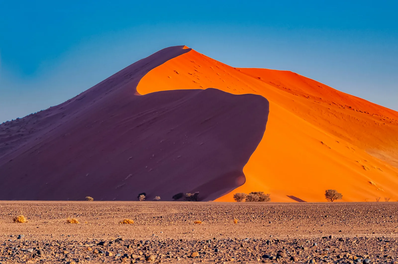 A towering orange dune with a sharp crest above the gravel plains of Sossusvlei